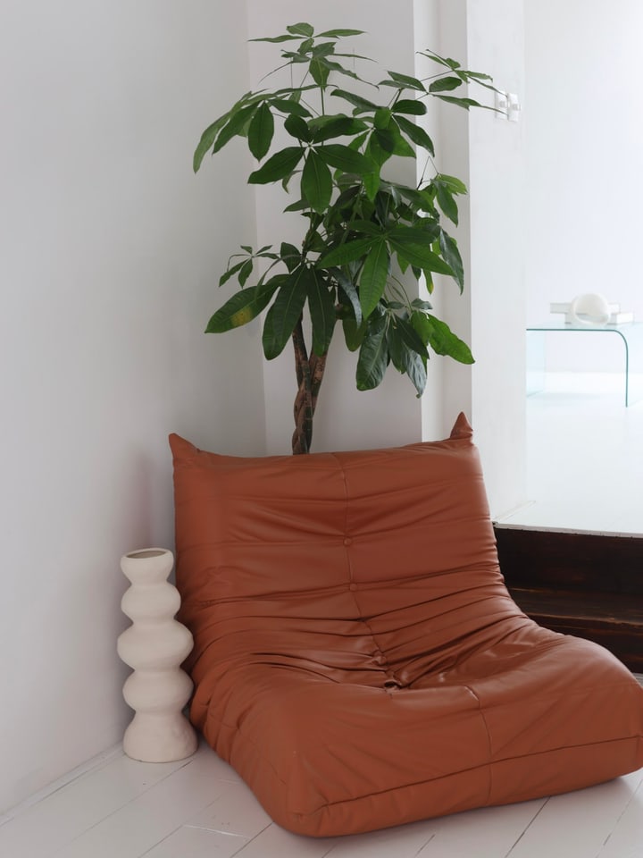 Een cognackleurige leren fauteuil in een hoek, met een hoge plant en een witte vaas